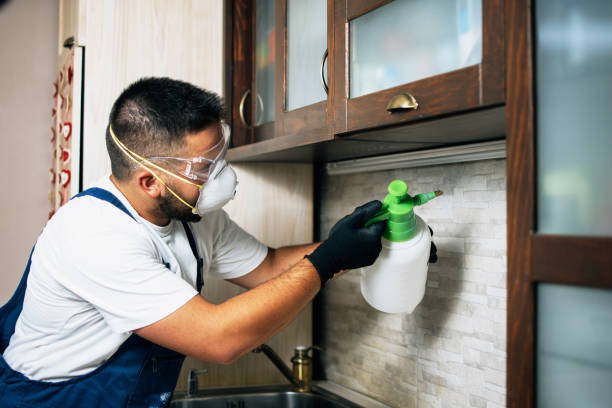 Best Pest Removal Services  in Atwater, MN