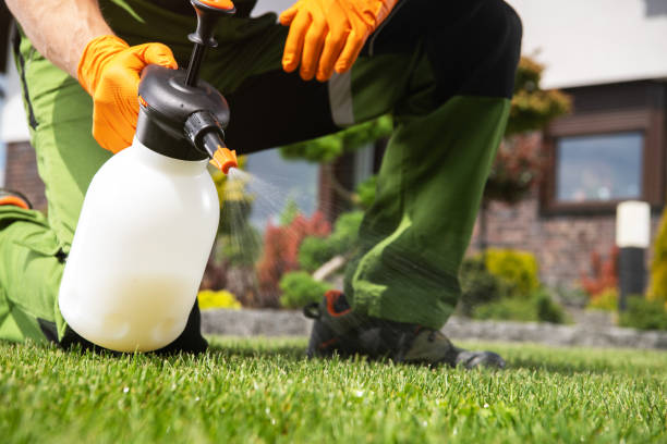 Best Pest Prevention Services  in Atwater, MN
