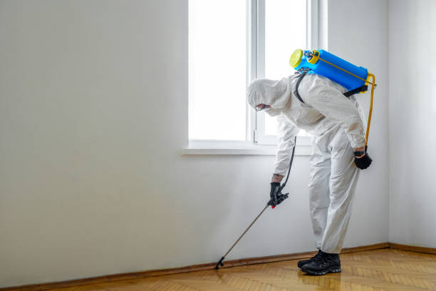 Best Wasp Removal Services  in Atwater, MN