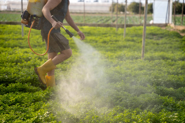 Best Commercial Pest Control Services  in Atwater, MN