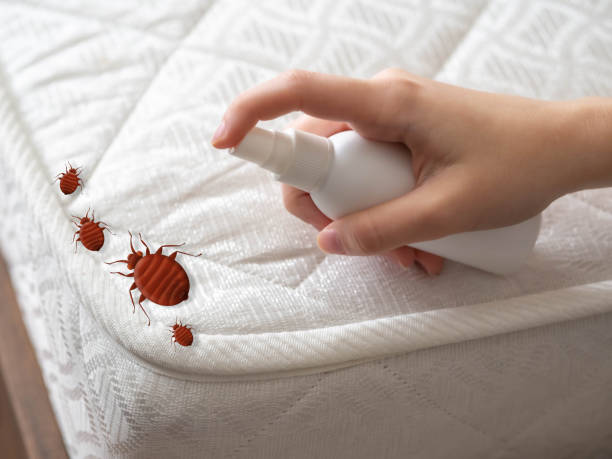 Best Affordable Pest Control Services  in Atwater, MN